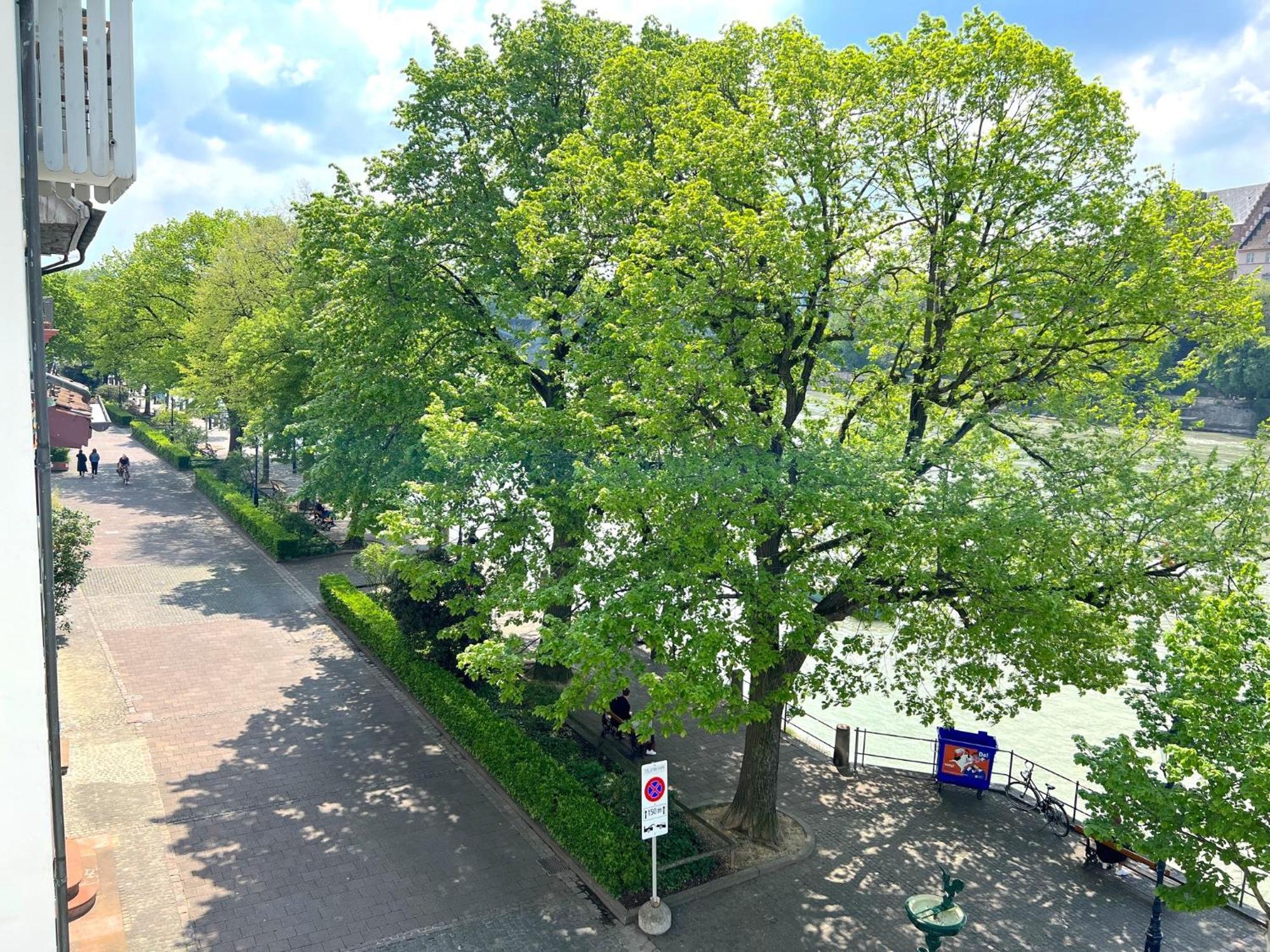 Riverside Apartment Basel